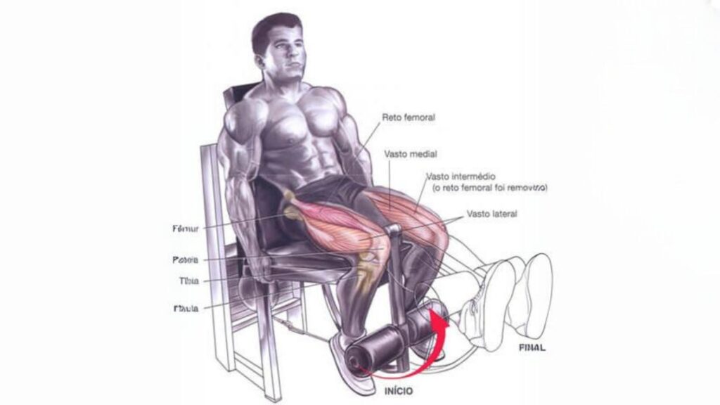 A Técnica Perfeita: Passo a Passo para Executar o Exercício Corretamente.