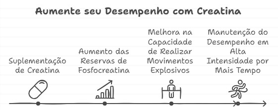 A creatina desempenha um papel crucial no fornecimento de energia para as células